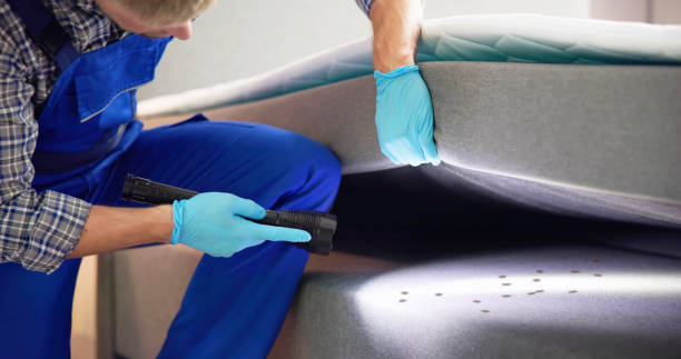 Best Commercial Pest Control Services  in Palm Beach, FL