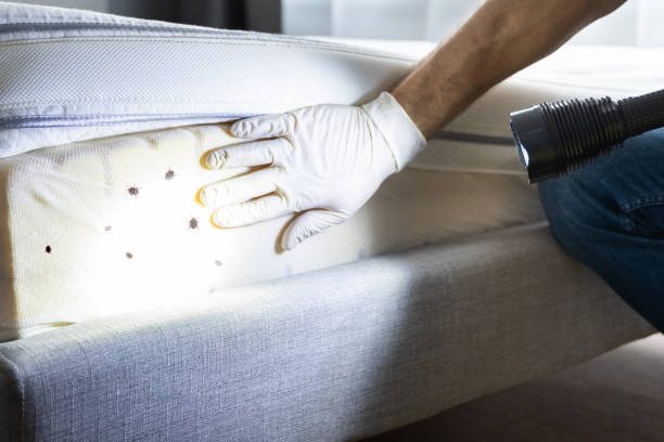 Best Best Pest Control Companies  in Palm Beach, FL