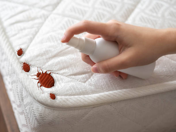 Best Best Pest Control Companies  in Palm Beach, FL